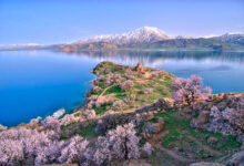 مقایسه و راهنمایی برای انتخاب تورهای تابستانی وان 5 تور وان