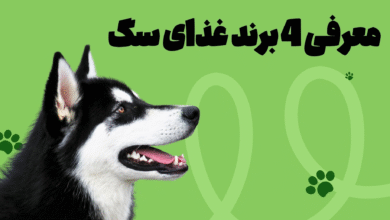 4 برند غذای خوب برای سگ‌